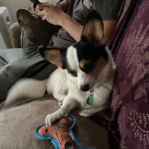 Meet your Posher, Joseph